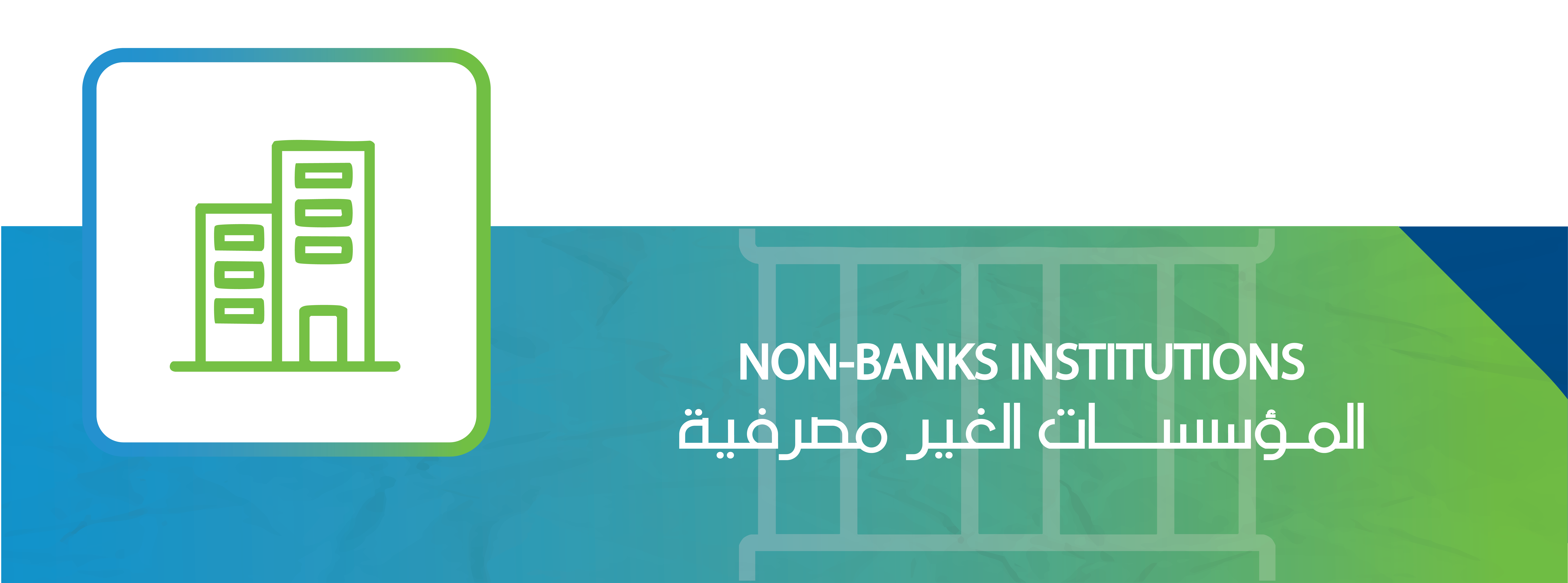 Non-Financial Institutes